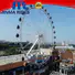 Wholesale giant sky wheel company for sale