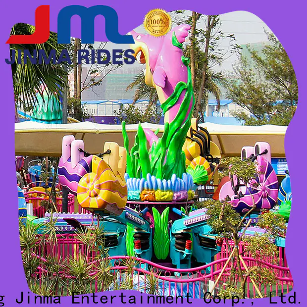Custom ODM kiddie roller coaster for sale for business for promotion