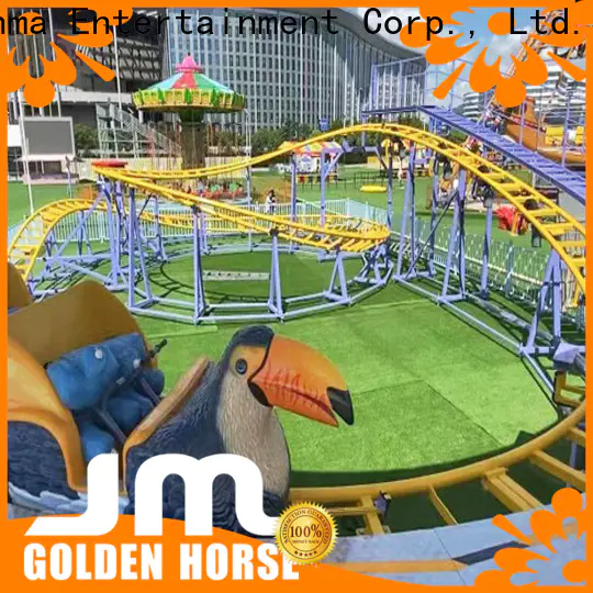 Jinma Rides long roller coaster sale on sale