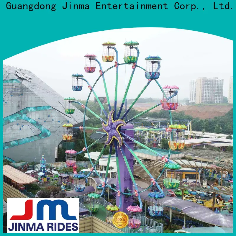 Jinma Rides Custom high quality millennium wheel company on sale