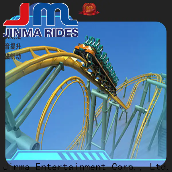 New wild roller coaster ride Supply on sale