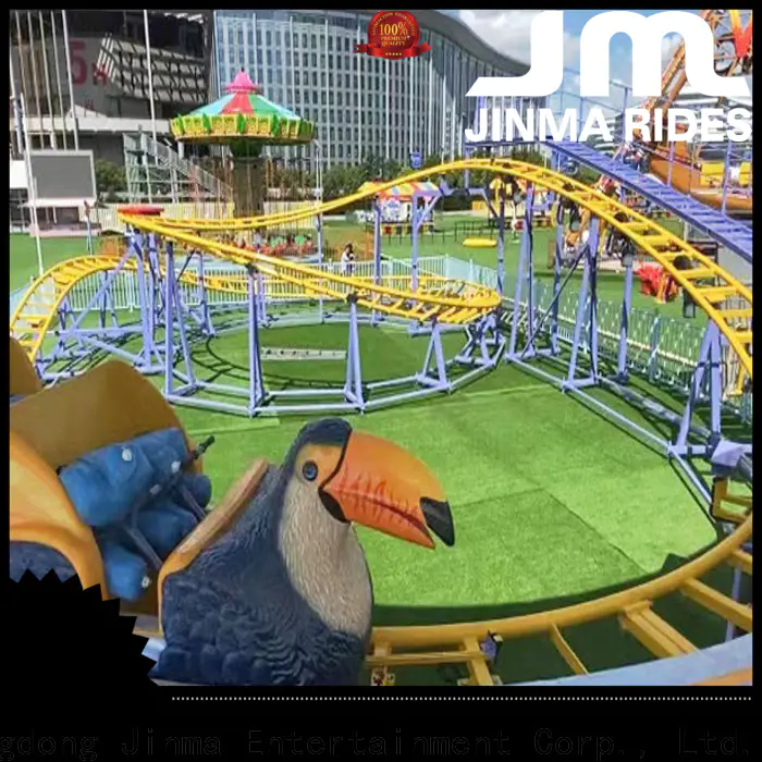 Jinma Rides Wholesale wild roller coasters construction for sale