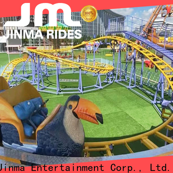 High-quality crazy roller coaster rides Supply for promotion